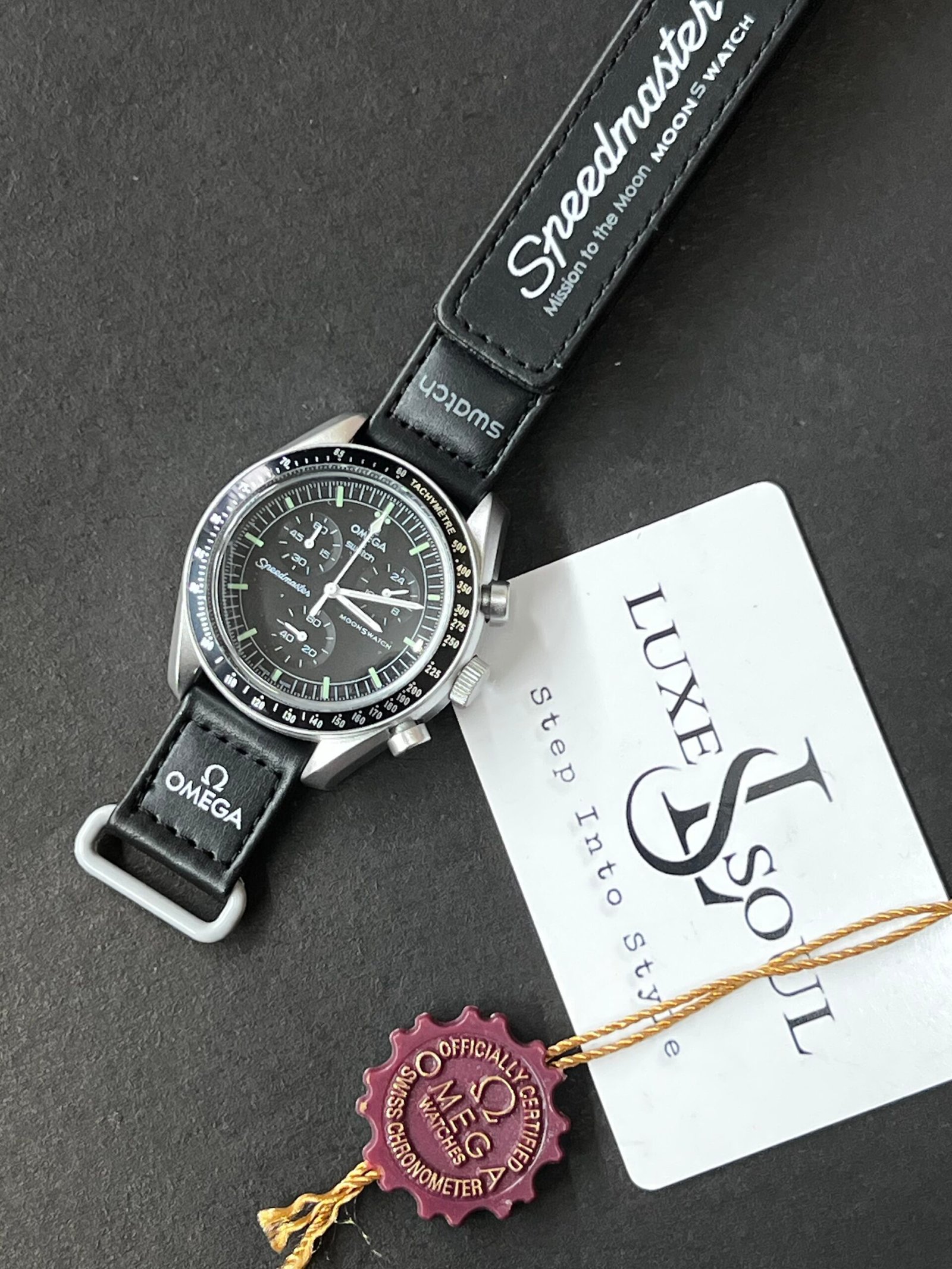 Omega mission to moon
