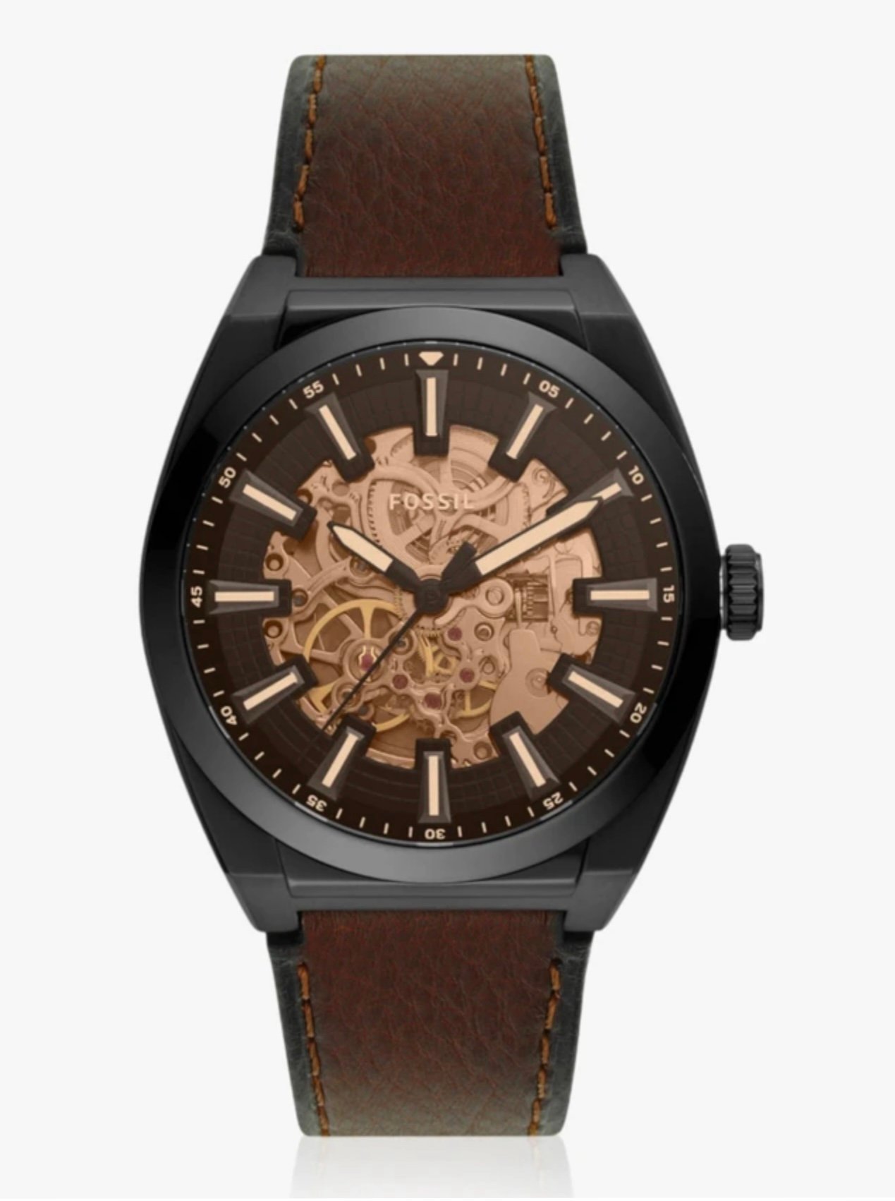 Fossil Everett